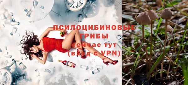 не бодяженный Абаза