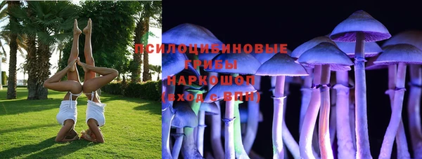эйфоретик Абинск